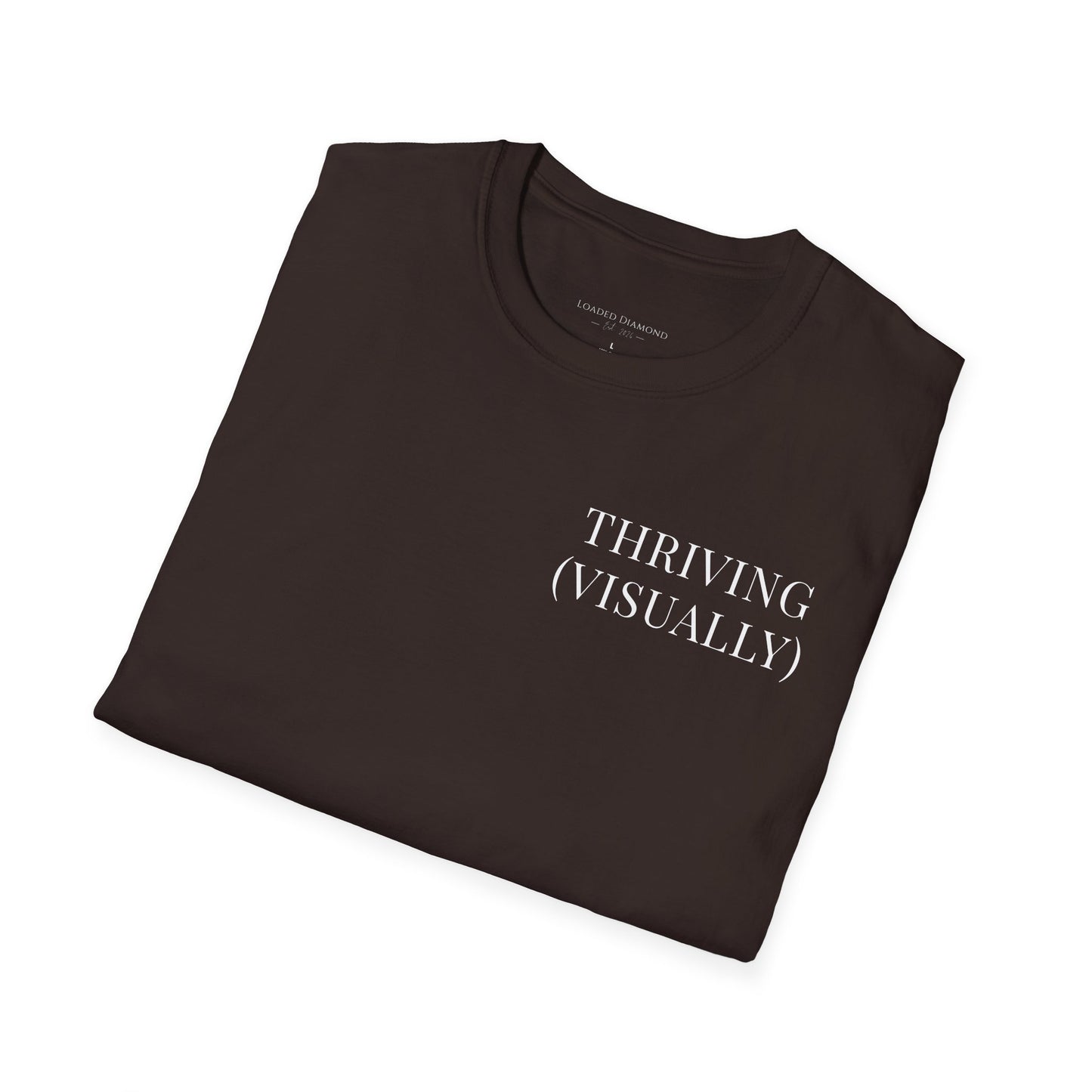 Thriving (Visually) T-Shirt — "No further investigation needed" Minimal Graphic Tee