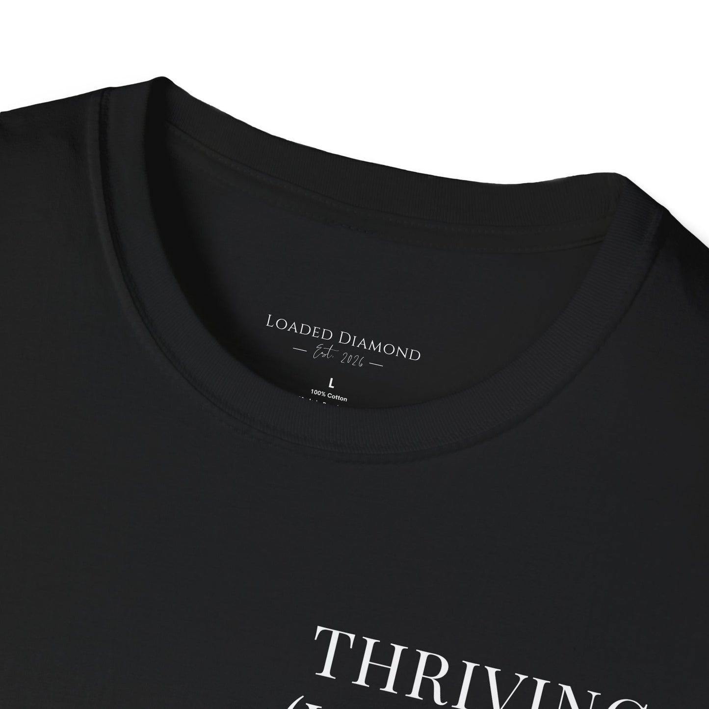 Thriving (Visually) T-Shirt — "No further investigation needed" Minimal Graphic Tee