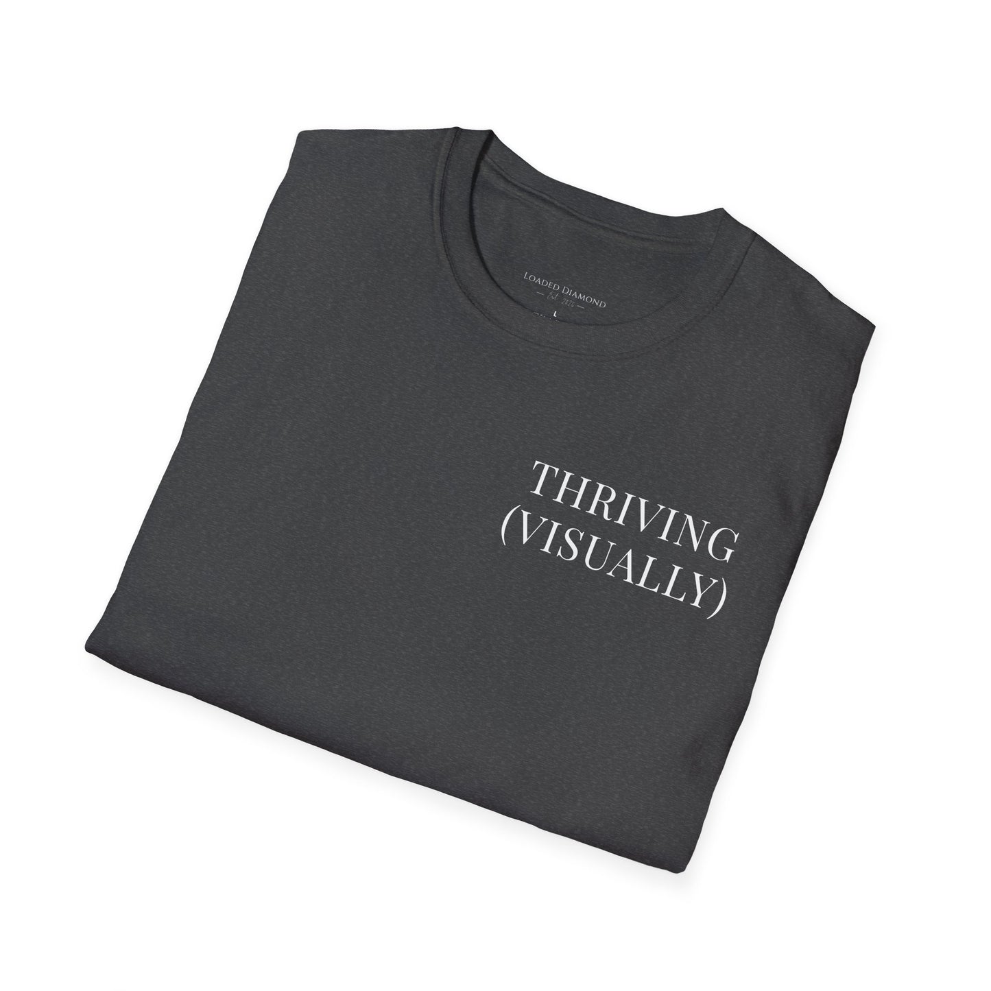Thriving (Visually) T-Shirt — "No further investigation needed" Minimal Graphic Tee