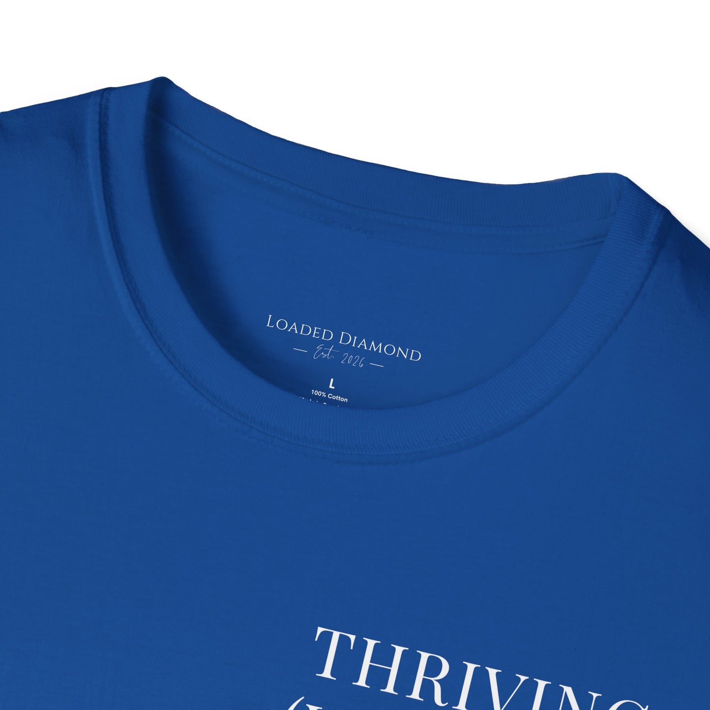 Thriving (Visually) T-Shirt — "No further investigation needed" Minimal Graphic Tee