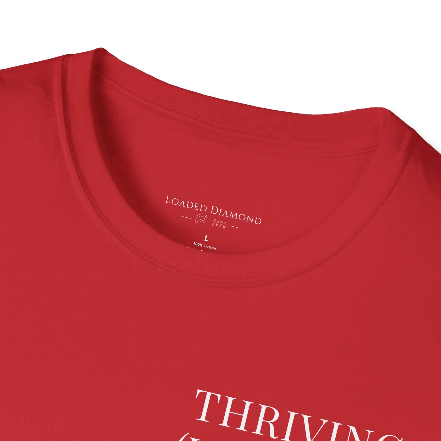 Thriving (Visually) T-Shirt — "No further investigation needed" Minimal Graphic Tee