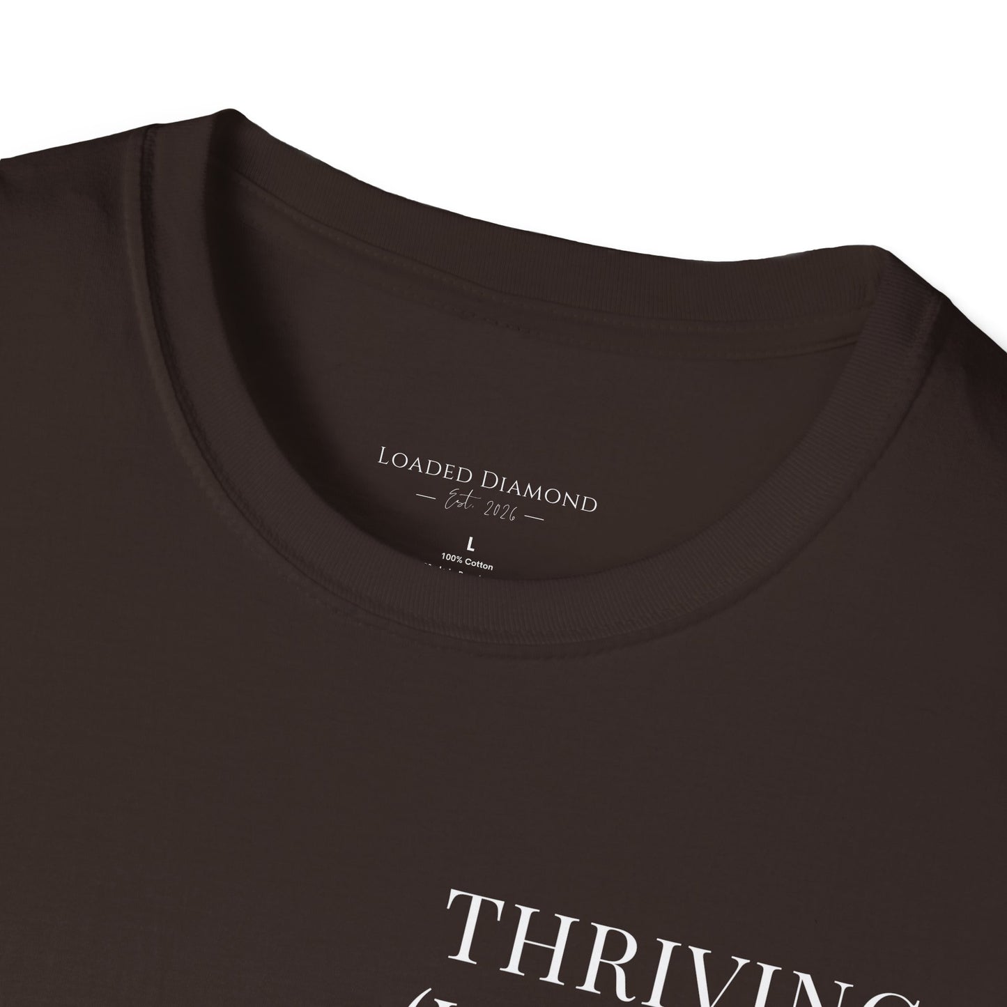 Thriving (Visually) T-Shirt — "No further investigation needed" Minimal Graphic Tee