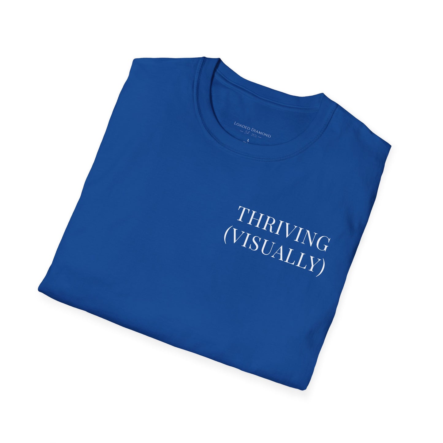 Thriving (Visually) T-Shirt — "No further investigation needed" Minimal Graphic Tee