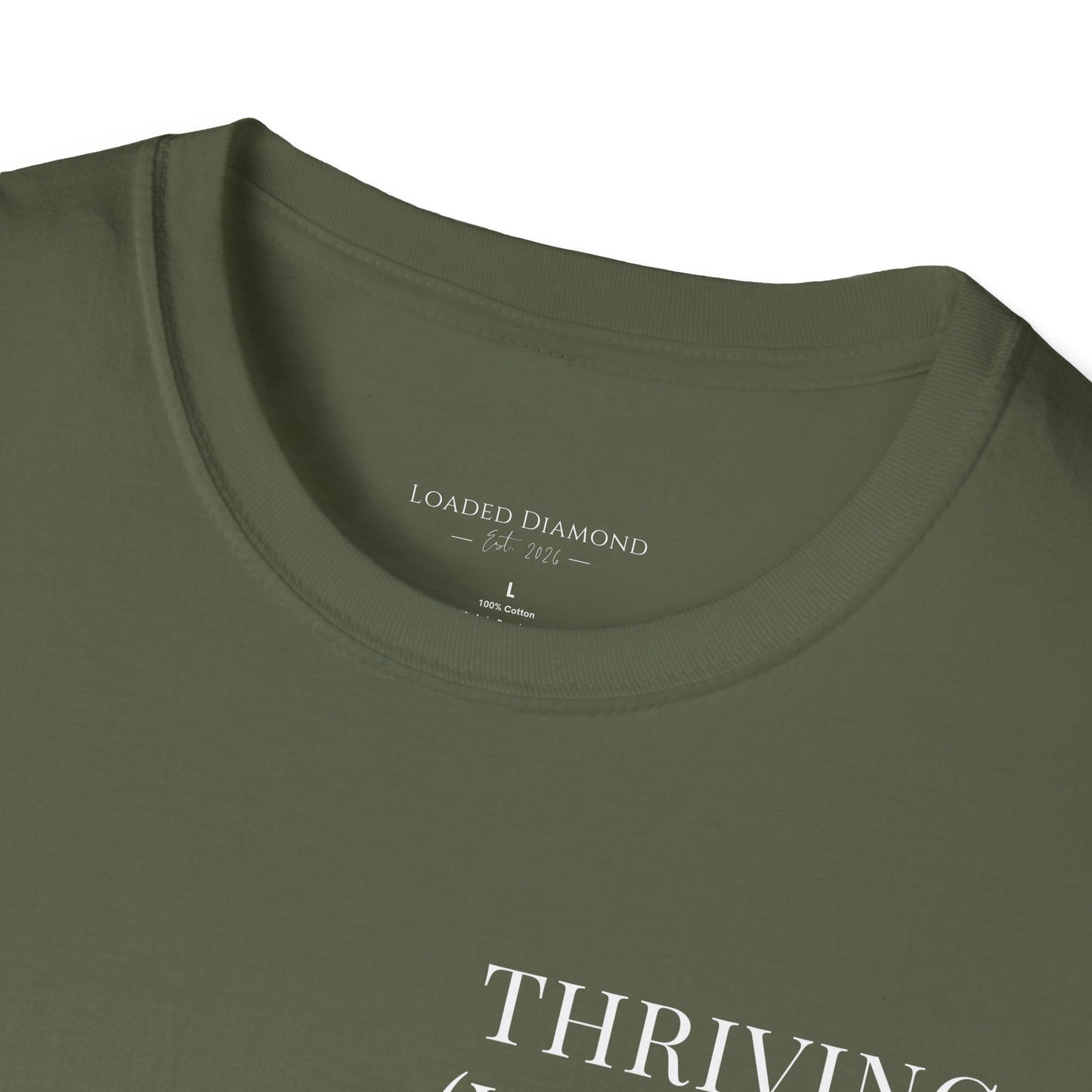 Thriving (Visually) T-Shirt — "No further investigation needed" Minimal Graphic Tee