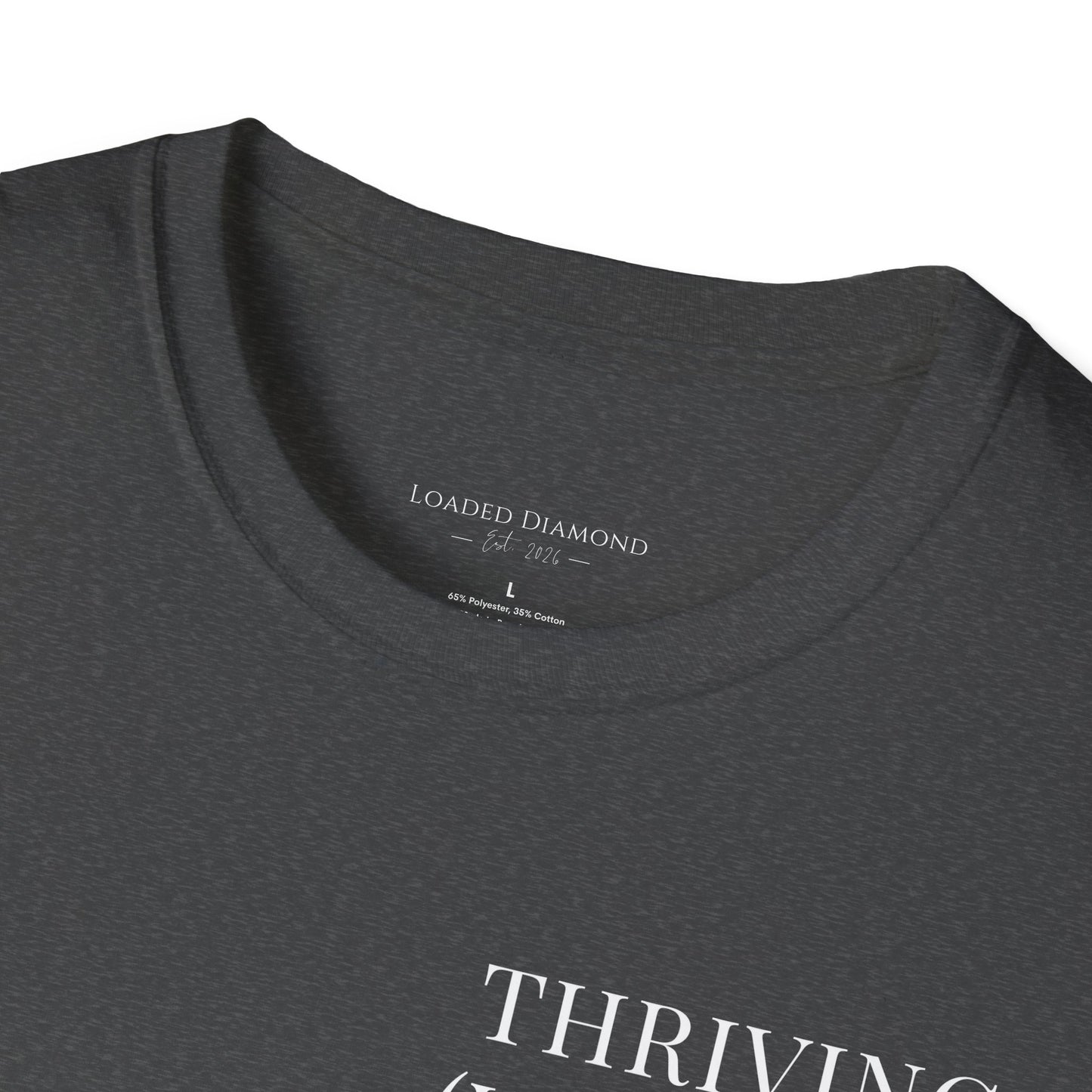 Thriving (Visually) T-Shirt — "No further investigation needed" Minimal Graphic Tee